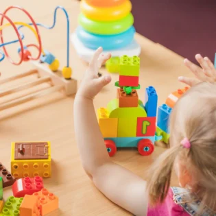 MONTESSORI PROGRAM