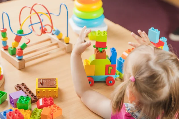 MONTESSORI PROGRAM